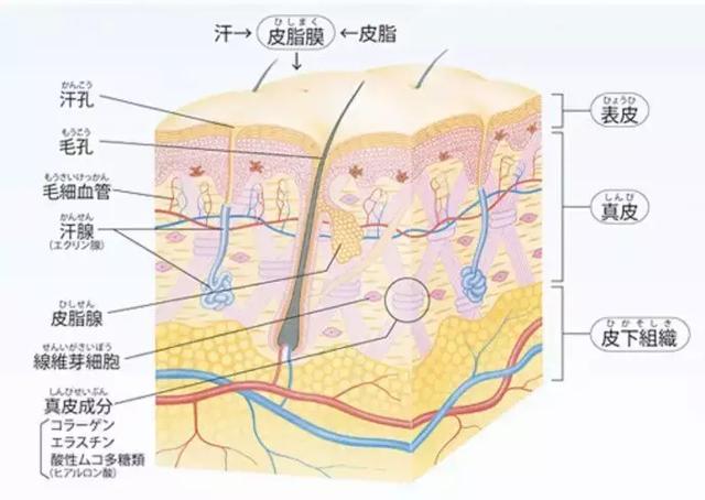 男士们快丢掉手中的大宝吧！告别烂脸，你得这么护肤！