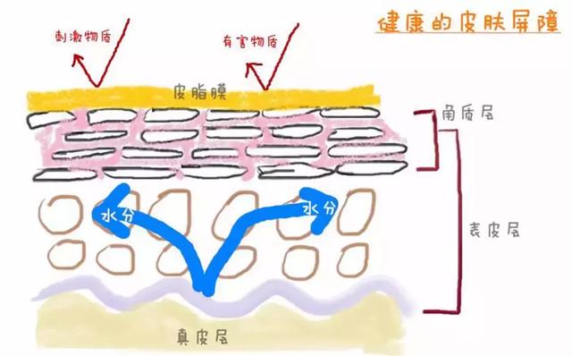 男士们快丢掉手中的大宝吧！告别烂脸，你得这么护肤！